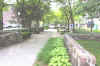 Harmonie Park